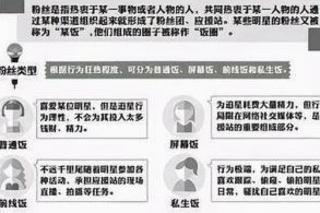 一般有组织有预谋的才是饭圈。