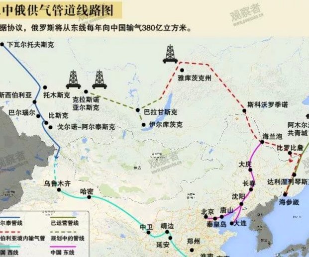 巴西胜日本：数据背后真相