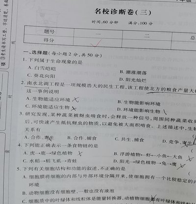 这安排又是一道选择题